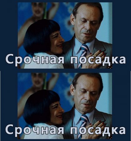 Срочная посадка (2009)